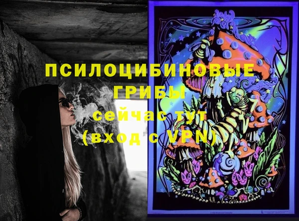 Альфа ПВП Абаза