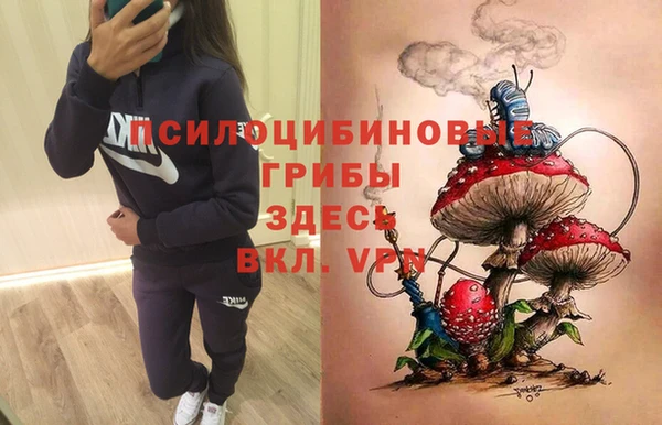 спиды Наволоки