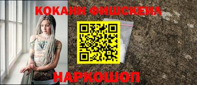 шишки Аргун