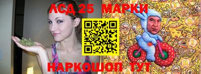 шишки Аргун