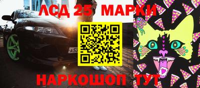 шишки Аргун