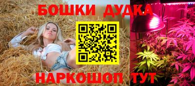 шишки Аргун