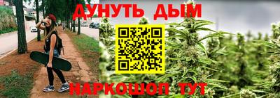 шишки Аргун