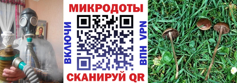 Псилоцибиновые грибы Psilocybe  mega tor  Симферополь 