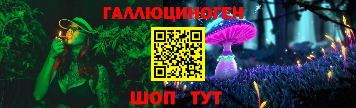 Псилоцибиновые грибы мицелий Симферополь